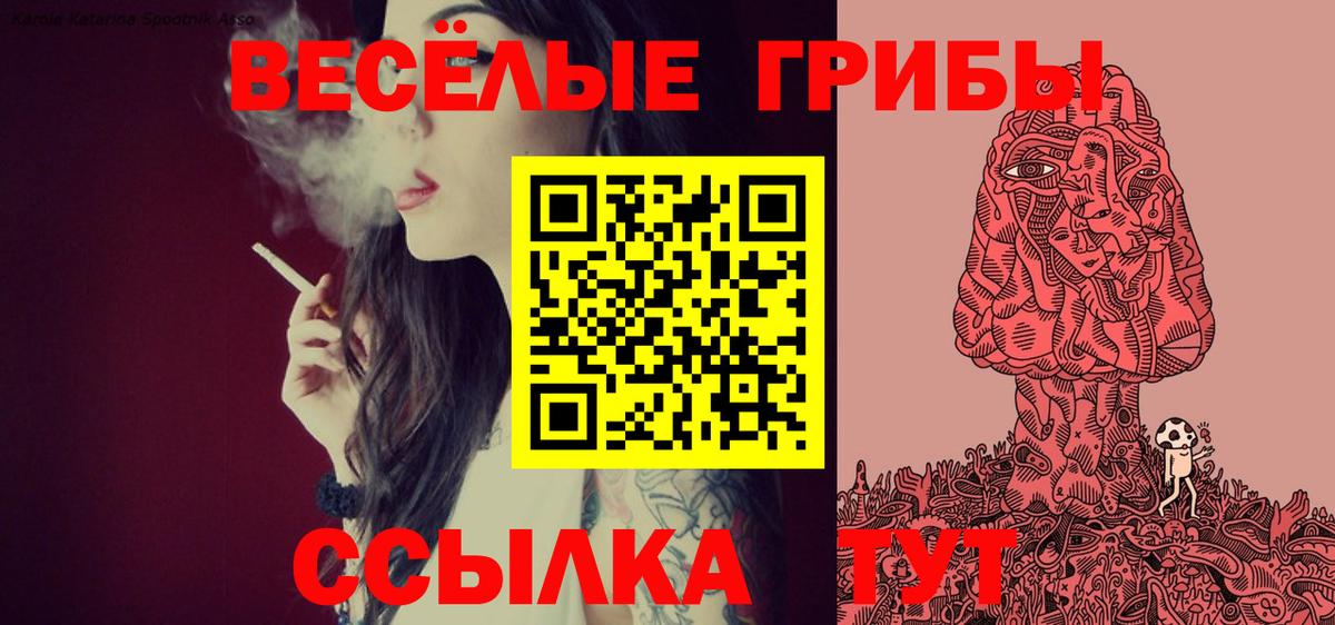 Галлюциногенные грибы Psilocybine cubensis Пыть-Ях