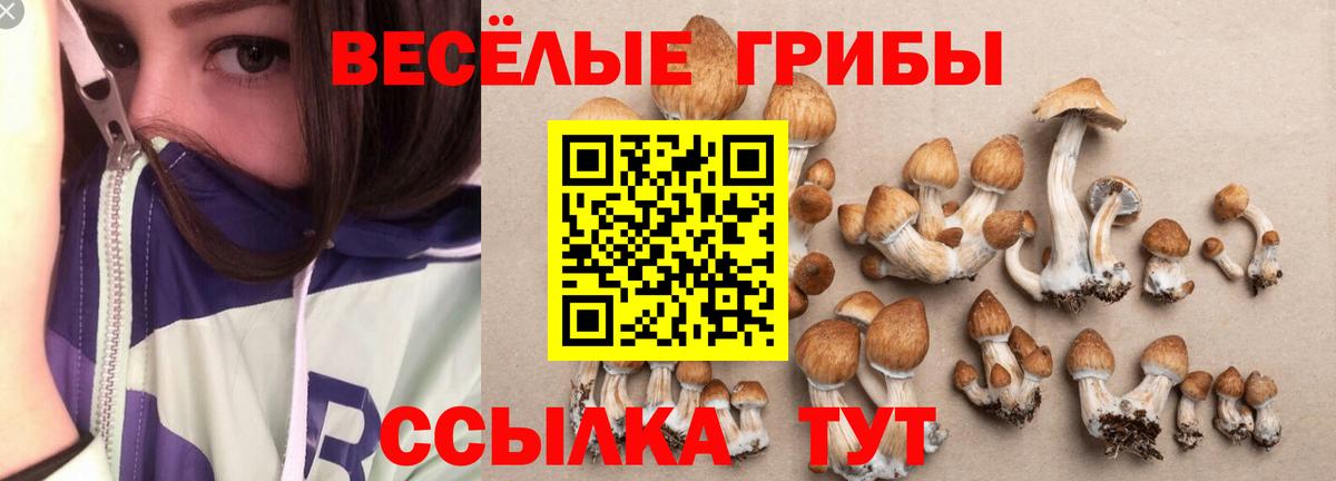 Пыть-Ях  купить закладку  Вход с VPN  Галлюциногенные грибы ЛСД  Псилоцибиновые грибы Cubensis 
